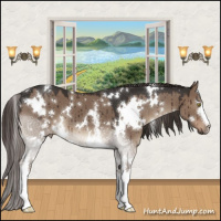 Horse Color:White Spotted Liver Red Dun Brindle 