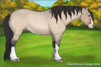 Horse Color:Brown Roan Dun Sabino Rabicano