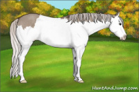 Horse Color:Silver Grullo Splash
