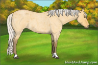 Horse Color:Silver Buckskin Roan Dun 