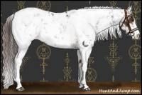 Horse Color:Liver Chestnut Sabino Near Leopard 