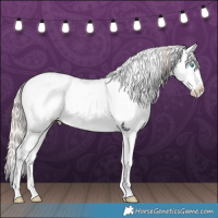 Horse Color:Smoky Creme Frame Appaloosa 