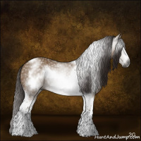 Horse Color:Gray White Spotted Liver Red Dun Tobiano Frame 