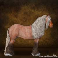 Horse Color:Gray Silver Buckskin Roan Rabicano 