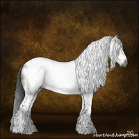 Horse Color:Gray Brown Dun Tobiano Frame 