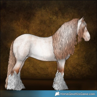 Horse Color:Gray White Spotted Gold Champagne Roan 