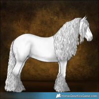 Horse Color:Gray Liver Red Dun Tobiano Frame 