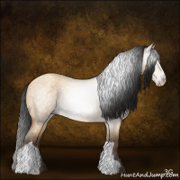 Horse Color:Gray Amber Champagne Roan Dun 