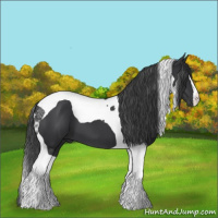 Horse Color:Black Tobiano 