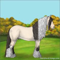 Horse Color:Buckskin Roan Dun Tobiano