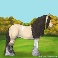 Horse Color:Buckskin Roan Dun Tobiano 