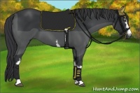 Horse Color:White Spotted Black