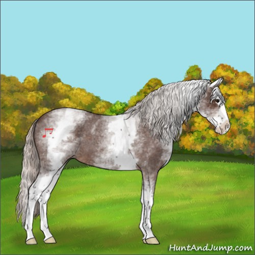 Horse Color:White Spotted Silver Brown Roan Splash 