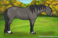 Horse Color:Grullo Sabino Rabicano 