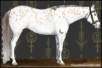 Horse Color:White Spotted Amber Champagne Appaloosa Rabicano