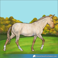 Horse Color:Chocolate Palomino Roan Dun 