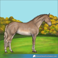 Horse Color:Chocolate Palomino Roan 