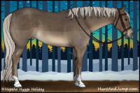 Horse Color:Silver Smoky Blue Roan 