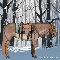 Horse Color:Red Roan 