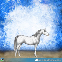 Horse Color:Blue Roan Sabino Snowflake Varnish Rabicano 