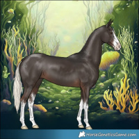 Horse Color:White Spotted Liver Chestnut Mushroom 