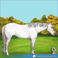 Horse Color:Bay Roan Near Fewspot 