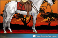Horse Color:Platinum Sable Champagne Dun Blanket 