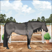 Horse Color:Platinum Brown Dun 