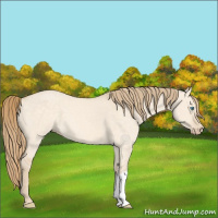 Horse Color:Perlino Dun 