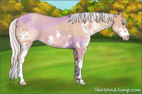 Horse Color:Silver Amber Champagne Splash 