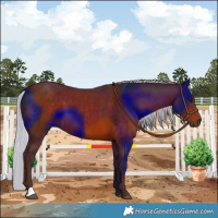 Horse Color:Silver Brown 