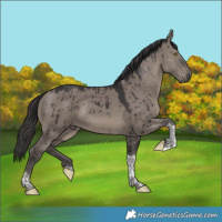 Horse Color:Smoky Grullo Tobiano Brindle 