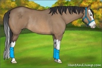 Horse Color:Bay Roan Dun Splash Rabicano