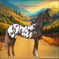 Horse Color:Liver Chestnut Near Leopard