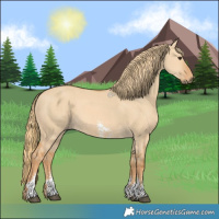 Horse Color:Red Dun Sabino