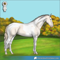 Horse Color:Perlino Tobiano 