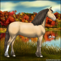 Horse Color:Amber Cream Champagne