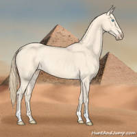 Horse Color:Perlino 