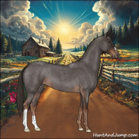 Horse Color:Liver Red Roan 