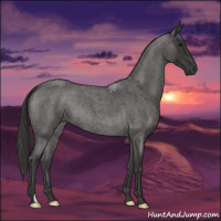Horse Color:Smoky Blue Roan 
