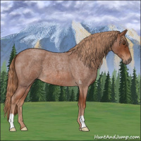 Horse Color:Red Roan 