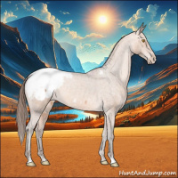 Horse Color:Amber Champagne Appaloosa 