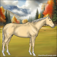 Horse Color:Palomino Roan 