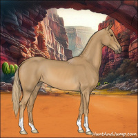 Horse Color:Red Roan 