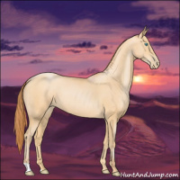 Horse Color:Buckskin Pearl 