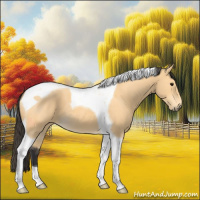 Horse Color:Buckskin Tobiano