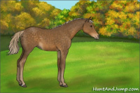 Horse Color:Chocolate Palomino 