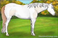 Horse Color:Classic Cream Champagne Pearl Splash Tobiano 