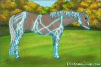 Horse Color:Thunderstruck Silver Grullo 