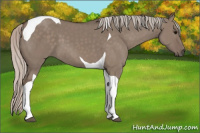Horse Color:Silver Grullo Tobiano 